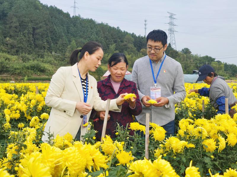 深入推进风腐同查同治